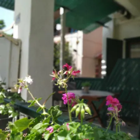 αργώ * Καλά Νερά